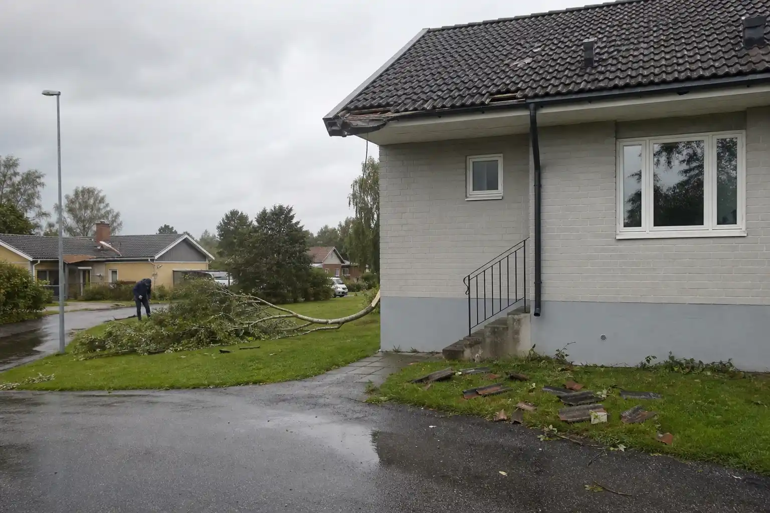 Rekordmånga stormskador på villor pressar takfirmorna